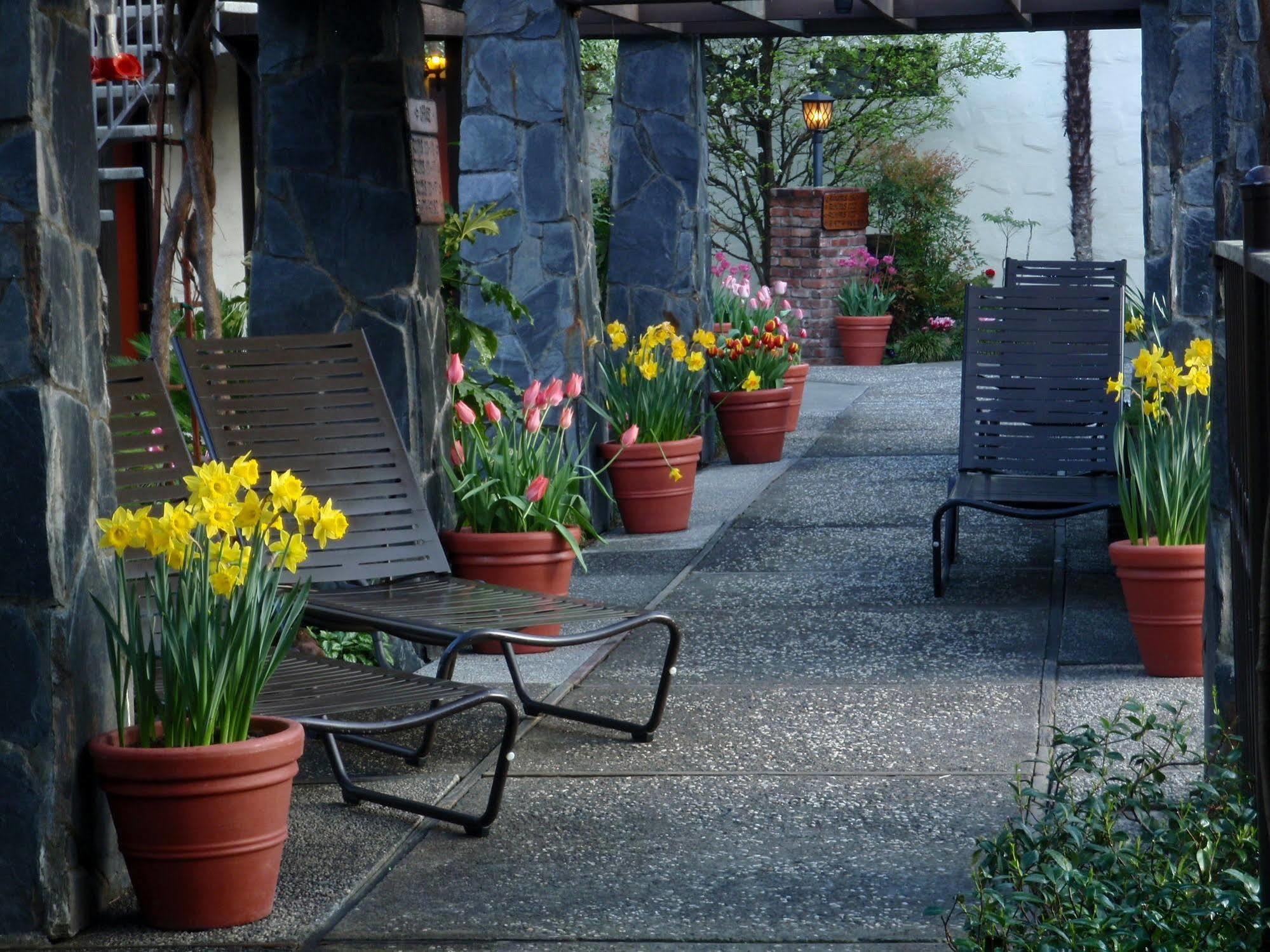 Roman Spa Resort Calistoga Exterior photo